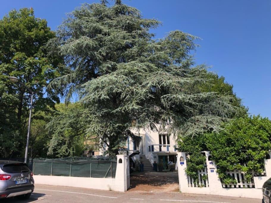 Villa Les Terrasses Dans La Nature Avec Piscine A 2 Pas De Lyon, Metro A 15Mn A Pied Pour Lyon Centre En 10Mn Ou Bus A 300M Pour Lyon Centre Oullins Exteriér fotografie
